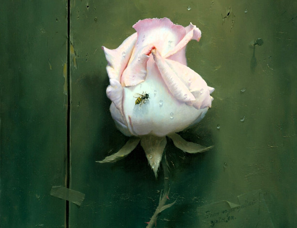 Обои картинки фото рисованное, алексей антонов, роза, оса, стена, трещины, гвоздь, капли