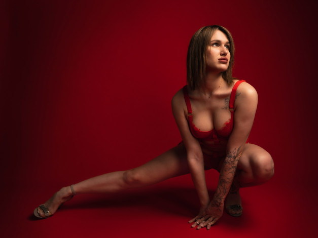 Обои картинки фото сексуальная девушка, девушки, - брюнетки,  шатенки, девушка, женщина, шатенка, темноволосая, сексуальная, модель, звезда, позирует, разная, обувь, верхняя, стильная, одежда, нижнее, эротическое, бельё, трусы, лифчик, колготки, чулки, аксессуары, макияж, и, множество, элементов, на, фотографии