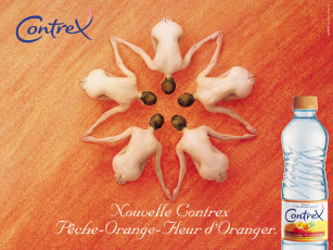 обоя contrex, бренды