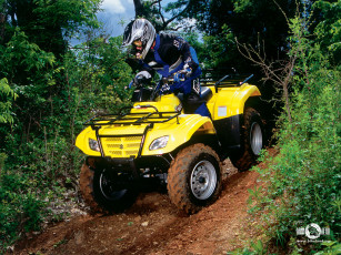 Картинка мотоциклы квадроциклы