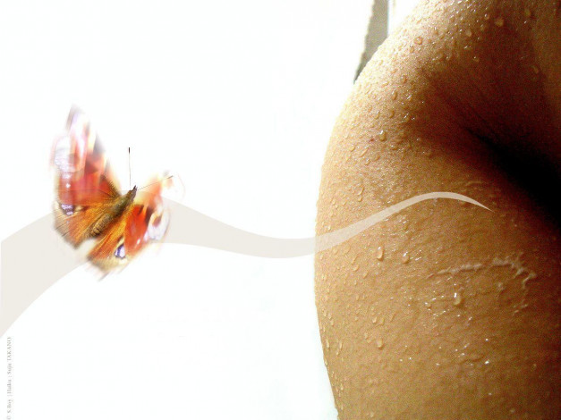 Обои картинки фото разное