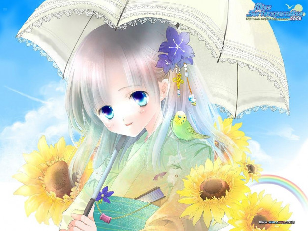 Обои картинки фото аниме, miss, surfersparadise