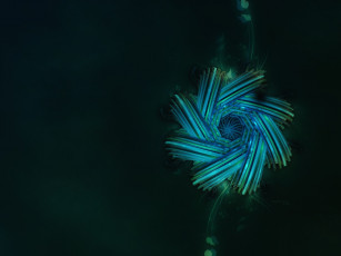 Картинка 3д графика fractal фракталы узор абстракция