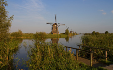 Картинка природа реки озера камыш вода