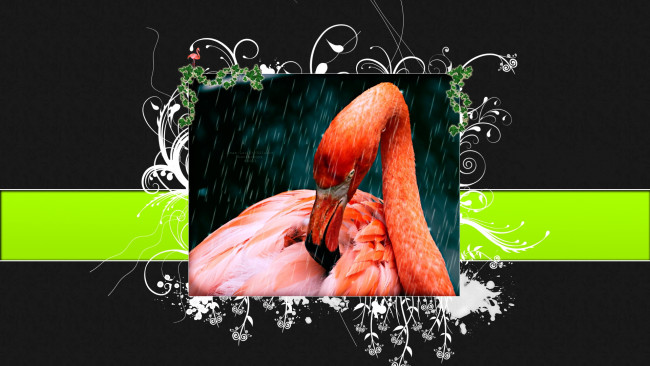 Обои картинки фото разное, компьютерный, дизайн, фламинго, тёмный