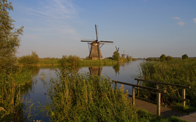 Обои картинки фото природа, реки, озера, камыш, вода