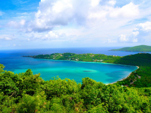 Картинка природа побережье море деревья облака небо