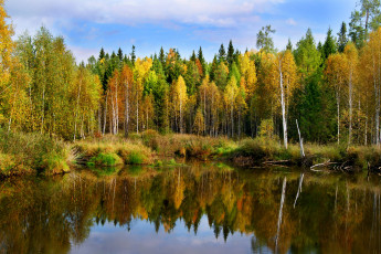 Картинка природа реки озера осень