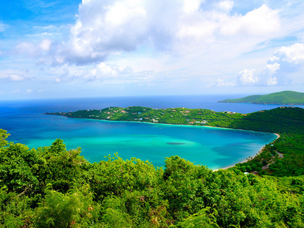 Обои картинки фото природа, побережье, море, деревья, облака, небо