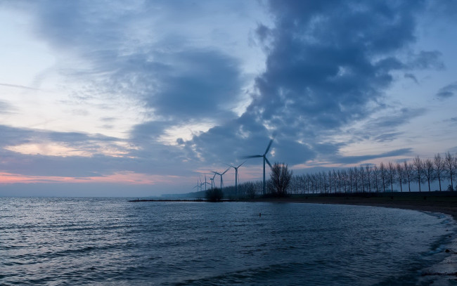 Обои картинки фото природа, побережье, деревья, ветряки, тучи, озеро, сумрак