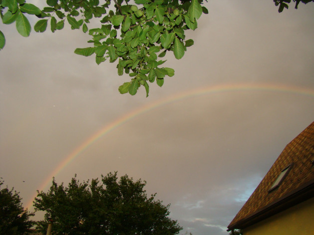 Обои картинки фото радуга, природа