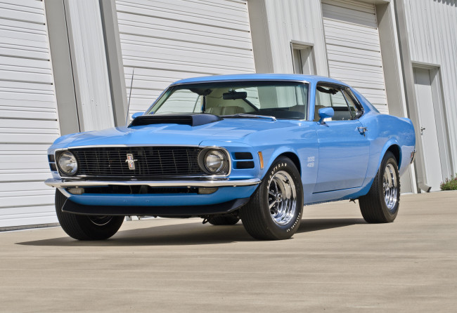 Обои картинки фото автомобили, mustang