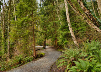 Картинка природа дороги тракт