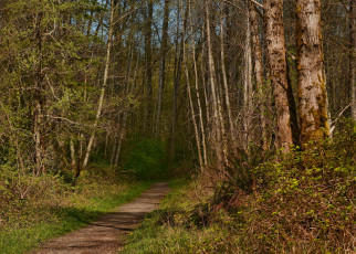 Картинка природа дороги тракт