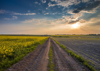 Картинка природа дороги тракт