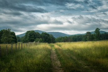 Картинка природа дороги тракт