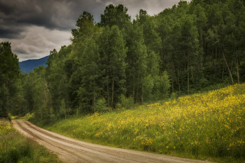 Картинка природа дороги тракт