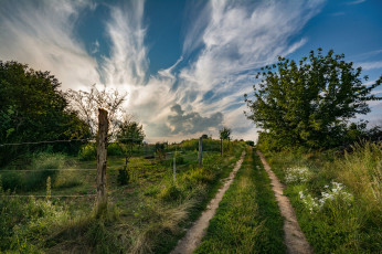 Картинка природа дороги тракт