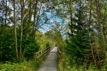 Картинка природа дороги тракт