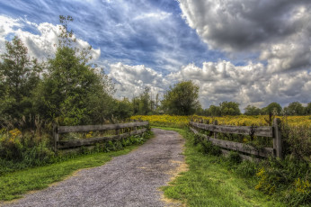 Картинка природа дороги тракт