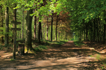 Картинка природа дороги тракт