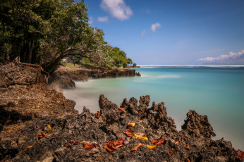 Картинка природа побережье берег море