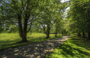 Картинка природа дороги тракт