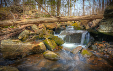 Картинка природа реки озера trees rocks water