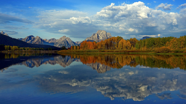 Обои картинки фото природа, реки, озера, река, лес