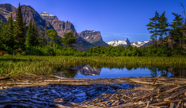 Обои картинки фото природа, реки, озера, река, лес