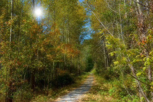 Обои картинки фото природа, дороги, тракт