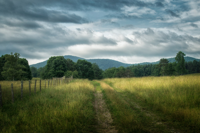 Обои картинки фото природа, дороги, тракт