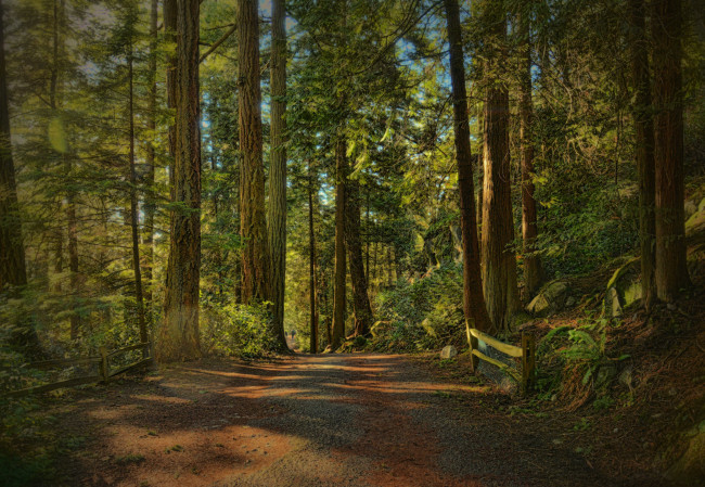 Обои картинки фото природа, дороги, тракт