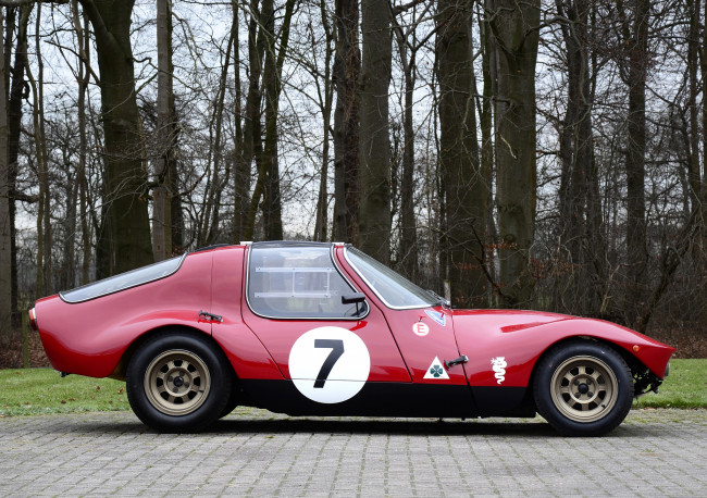 Обои картинки фото alfa romeo giulia tz berlinetta concept 1965, автомобили, alfa romeo, concept, berlinetta, tz, giulia, alfa, romeo, 1965