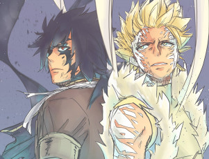 Картинка аниме fairy+tail хвост феи