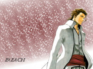 Картинка аниме bleach блич