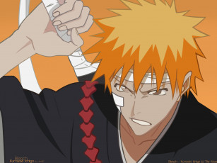 Картинка аниме bleach блич