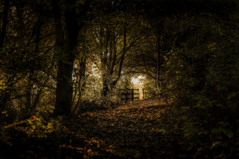 Картинка природа дороги простор