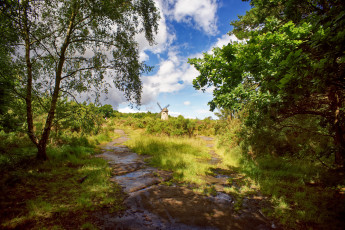 Картинка природа пейзажи простор