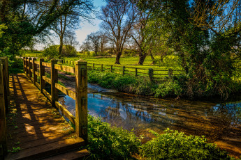 Картинка природа реки озера простор