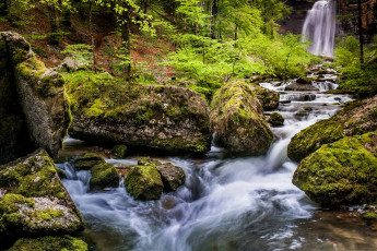 Картинка природа реки озера простор