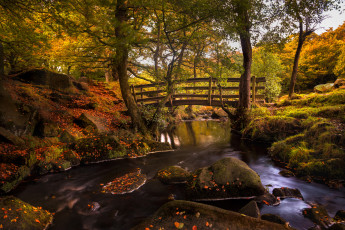 Картинка природа реки озера река лес