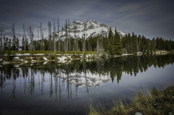 Картинка природа реки озера простор