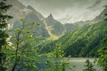 Картинка природа реки озера простор