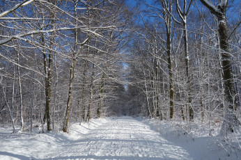 Картинка природа зима простор