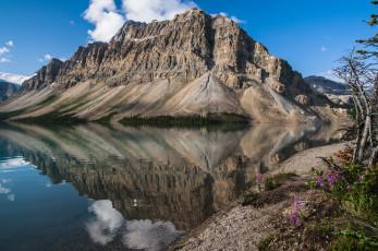 Картинка природа реки озера простор