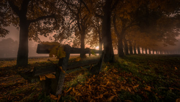 Картинка природа пейзажи простор