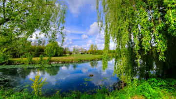 Картинка природа реки озера простор