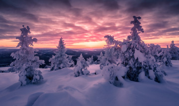 Картинка природа зима простор