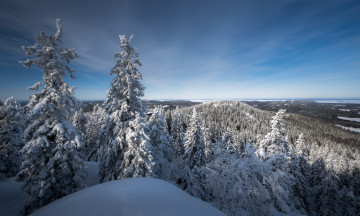 Картинка природа зима простор